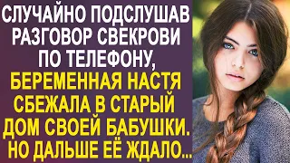 Случайно подслушав разговор свекрови по телефону, Настя сбежала в дом своей бабушки. Но дальше...