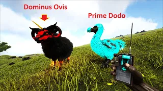 ARK: Eternal (Mới) #6 - Mình đã có "Cừu địa ngục" Dominus Ovis và Prime Dodo, tuy nhỏ mà có võ 😆