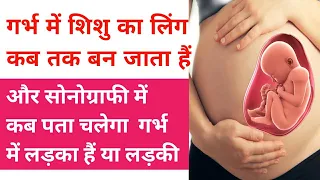 गर्भ में शिशु का लिंग कब तक बन जाता हैं|Symptom of baby boy|when made baby gender during pregnancy|