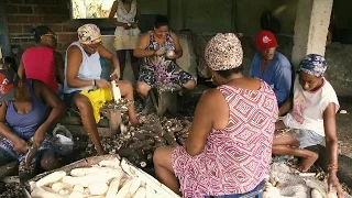 BRASIL:  LA HISTORIA DE LA ESCLAVITUD