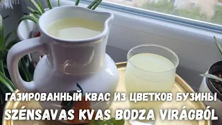 Квас из цветов бузины. Szénsavas kvas bodza virágbol. #квас #рецепт