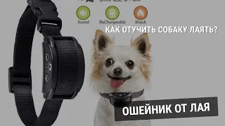 Electronic collar for dogs against barking! Электронный Ошейник для дрессировки собак от лая