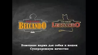 Немецкие корма Belcando и Leonardo | Вебинар вводный