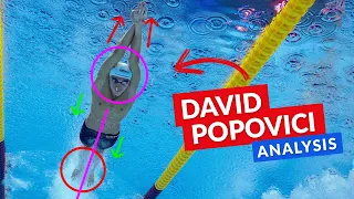 World-Record Freestyle | David Popovici Technique Analysis