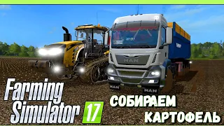 Собираем Картофель  | Фарминг Симулятор 17 | Farming Simulator 17 | НОВЫЙ РАССВЕТ