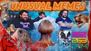 UNUSUAL MEMES COMPILATION V262 V263 & V264 - @UnusualVideos | RENEGADES REACT