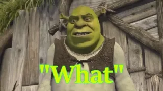 The entire Shrek film, but only the word "what" is said