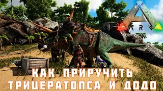 🦕 ARK: SURVIVAL EVOLVED КАК ПРИРУЧИТЬ ТРИЦЕРАТОПСА и ДОДО [прохождение] #5