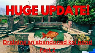 UPDATE on the Abandoned Koi Pond