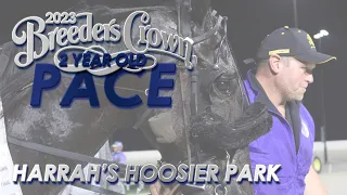 2023 Breeders Crown - Gem Quality - 2CP