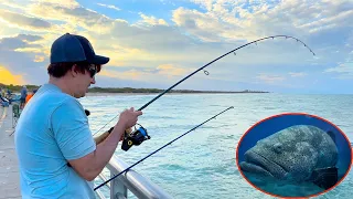 What to know when Fishing at Sebastian Inlet❗️