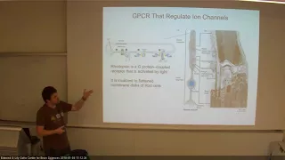 THE MOLECULAR BASIS OF NEURONAL PROCESSING 08012018