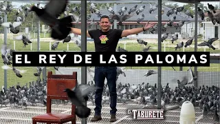 El Rey de la Palomas | EL TABURETE Cap.3