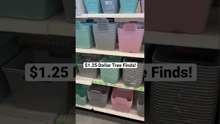 NEW Dollar Tree Organizing Scores!