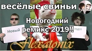 Новогодний ремикс 2019!Смешные свиньи!"Свинская песня"!(со словами)