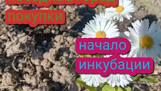 поездка в город🌞что купила💖начался вывод🐣🐥жара.