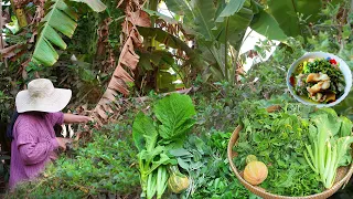 Harvesting different Vegetables in my Garden Cooking for our dinner - Slow living in countryside