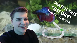 *DON'T* KEEP A BETTA FISH WITHOUT THESE 6 THINGS