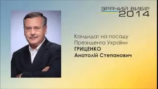 Гриценко Анатолій Степанович - витяг з програми кандидата на посаду Президента України