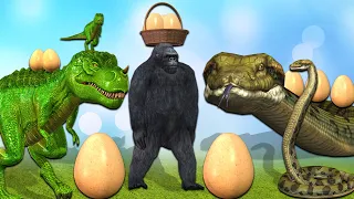 Anaconda Eggs and gorilla dinosaur || Gorilla Cartoon Funny animated video By Mr Lavangam