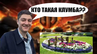 КТО ТАКАЯ КЛУМБА