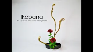 Ikebana How-to, the Tateru-katachi step-by-step