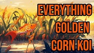 Everything you ever wanted to know about Taniguchi's Golden Corn Koi