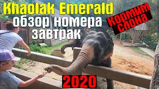 Khaolak Emerald - Обзор Номера, Завтрак, Слоновья Ферма | Отдых в Тайланде, Часть 5 | Декабрь 2019