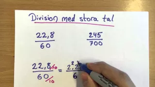 Division med stora tal