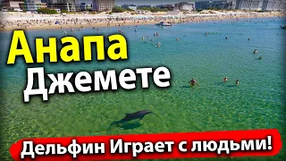 #Анапа ДЕЛЬФИН УСТРОИЛ ШОУ НА ДЖЕМЕТЕ! ПЛЯЖ ЛАМЕЛИЯ - ВОДА ИЗУМИТЕЛЬНАЯ! ПОЛНЫЙ ВОСТОРГ!