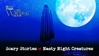 13 O'Clock Presents The Witching Hour: Scary Stories of Nasty Night Creatures
