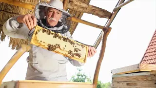 BeeWell - ветеринарні препарати для бджільництва // ветпрепараты для пчел