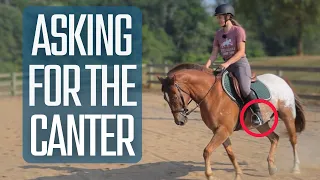 How To Ask For The Canter (EASY STEP-BY-STEP GUIDE)