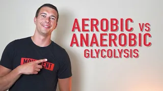 Aerobic vs. Anaerobic Glycolysis | What is Lactate?