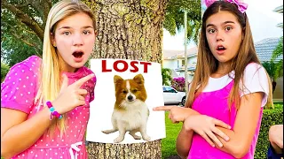 Nastya and Maggie - a story about how dogs were lost