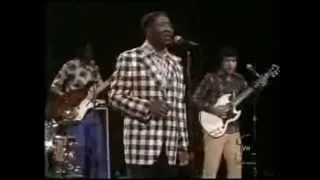 MUDDY WATERS with HOLLYWOOD FATS ~ 1973.