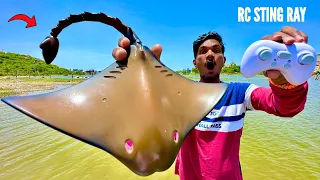 RC Stingray Under Water Fastest Fish Unboxing & Testing - Chatpat toy tv