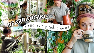 Rearranging, Cleaning + Rehabbing My Plants 🌿 Houseplant Chores and Organisation