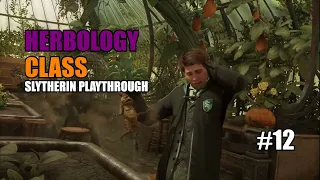 HOGWART'S LEGACY - HERBOLOGY CLASS/SLYTHERIN PLAYTHROUGH - NO COMMENTARY