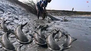 Adalah Yang Terbaik Lebih Banyak Spesies Ikan Dari Kolam