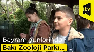 Bayram günlərində Bakı Zooloji Parkı…