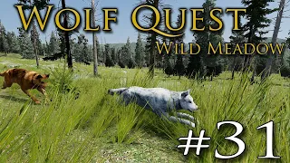 Rising Waters of the DARK LAKE Wolf Pack?! 🐺 WOLF QUEST: WILD MEADOW • #31