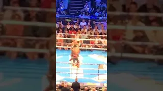 Dillian whyte vs Oscar Rivas