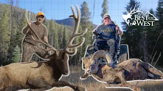 HUNT OF A LIFETIME - BIGHORN &  ELK HUNT