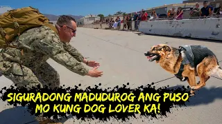 Mga Nakakaantig na tagpo ng Amo at kanilang Alagang ASO na tiyak tutuluha ang luha Mo. #IstoryadorTV