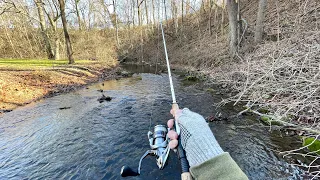 Small Creek TROUT Fishing with Rooster Tail Spinners