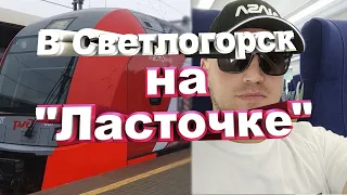 Из Калининграда в Светлогорск на Ласточке | Сколько стоит проезд в электричке