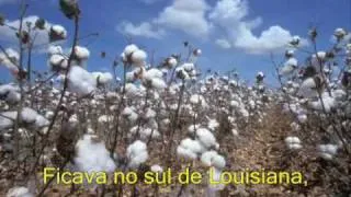 Creedence Clearwater Revival: Cotton Fields Legendado BR