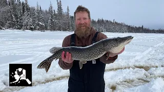 Chasing the Big One! Alaska Northern Pike Ice Fishing Argo Adventure | Thrilling Winter Fishing