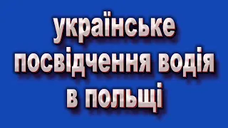 Українське посвідчення водія в Польщі. Чи можна їздити? На українських номерах?